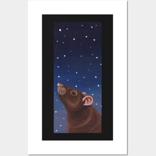 Agouti Brown Rat Stargazing Posters and Art